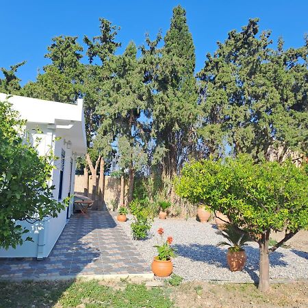 Deja Blue Villa Archangelos  Ngoại thất bức ảnh