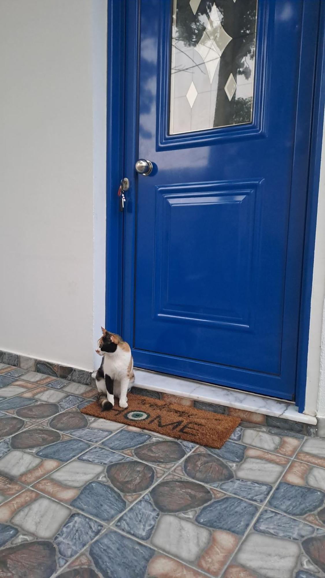 Deja Blue Villa Archangelos  Ngoại thất bức ảnh